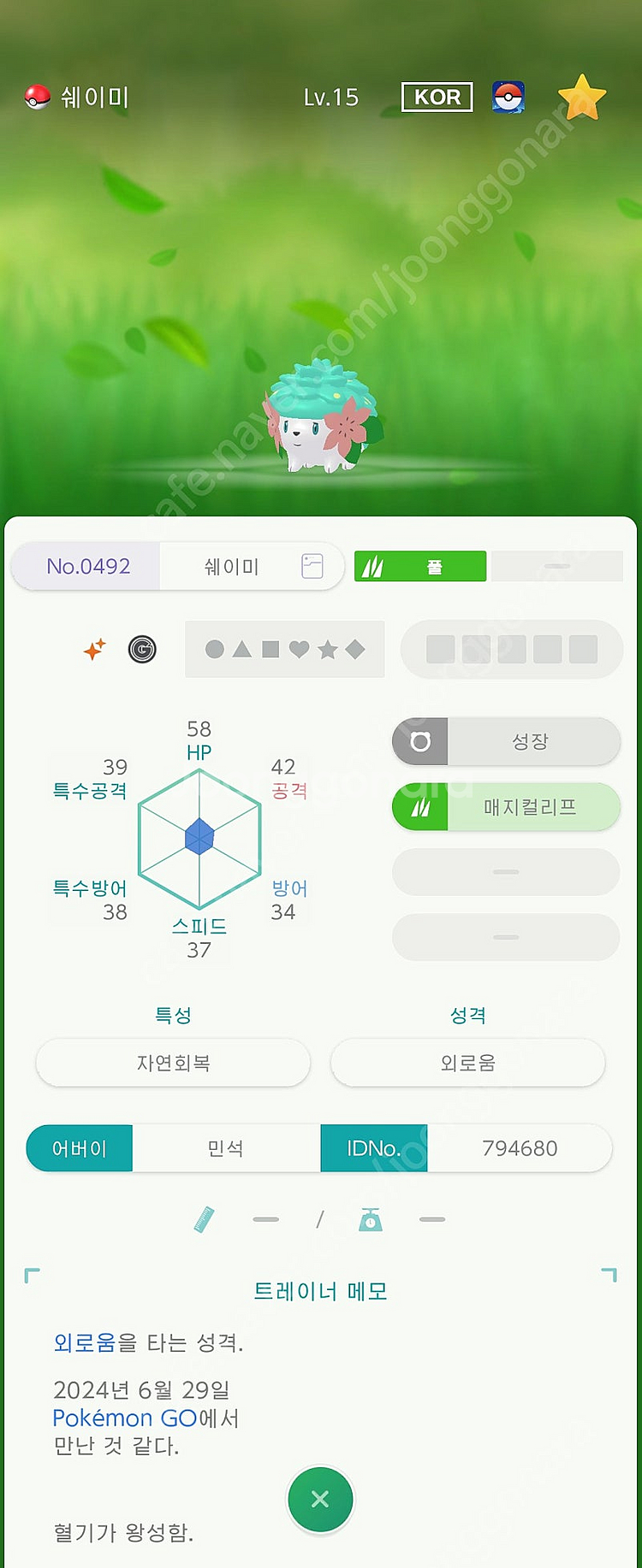 이로치 아르세우스, 전설, 맥다맥 대행 인증 배포 판매--9