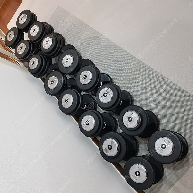 [분당]홈짐 덤벨 일괄 6/8/10/12/14/16/18/20--1