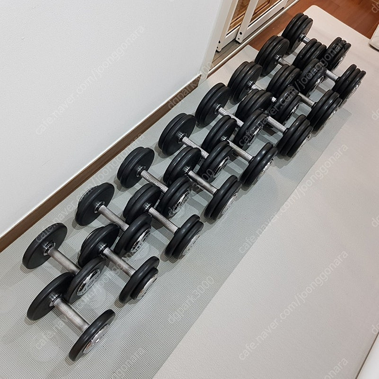 [분당]홈짐 덤벨 일괄 6/8/10/12/14/16/18/20--2