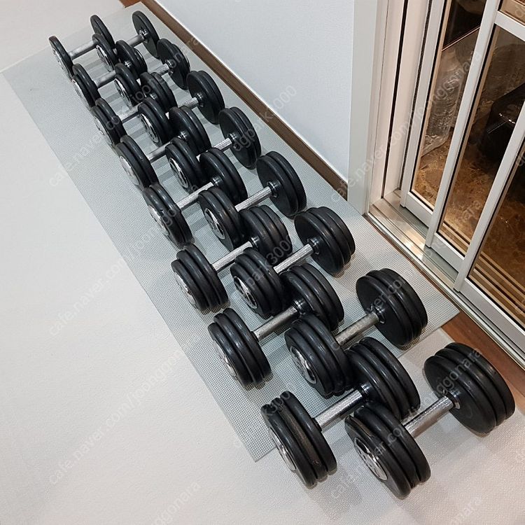 [분당]홈짐 덤벨 일괄 6/8/10/12/14/16/18/20--3