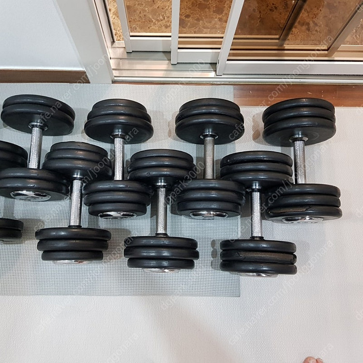 [분당]홈짐 덤벨 일괄 6/8/10/12/14/16/18/20--4