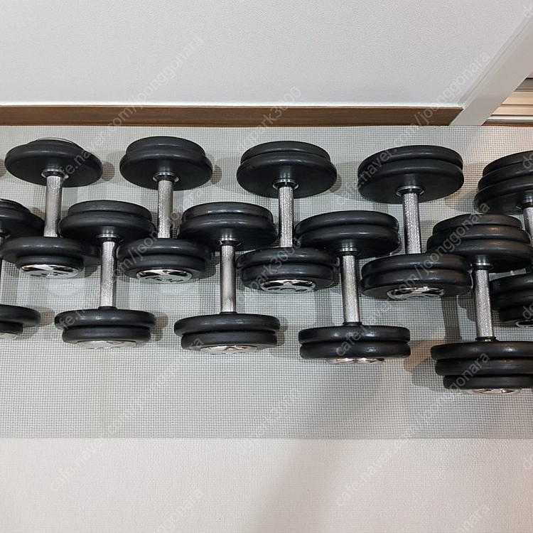 [분당]홈짐 덤벨 일괄 6/8/10/12/14/16/18/20--5