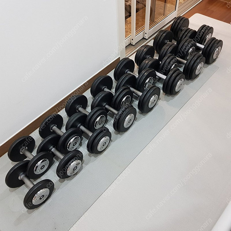 [분당]홈짐 덤벨 일괄 6/8/10/12/14/16/18/20--7