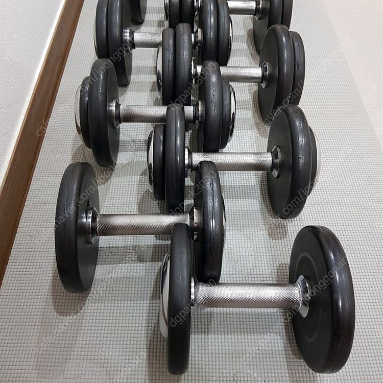 [분당]홈짐 덤벨 일괄 6/8/10/12/14/16/18/20--8