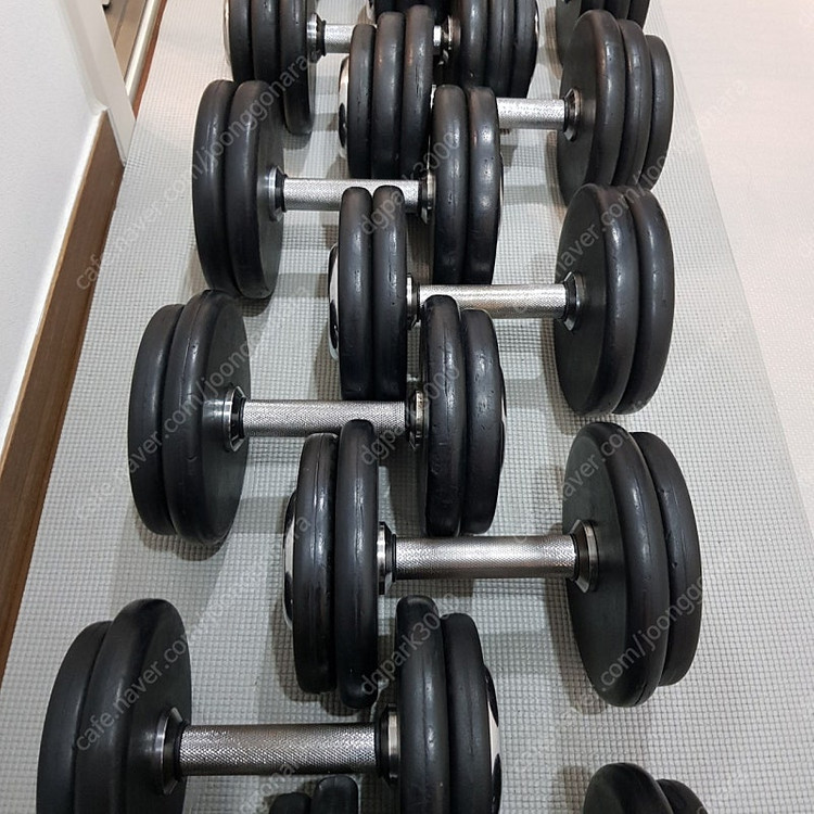 [분당]홈짐 덤벨 일괄 6/8/10/12/14/16/18/20--9