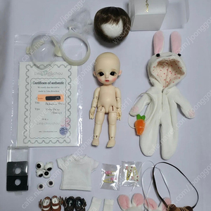 구체관절인형 포켓 , 리나슈슈 베이비 데이지 + 한정옷 물포 일괄