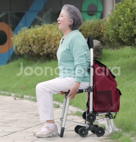 새상품 바퀴달린 접이식 쇼핑 카트 의자 팝니다.--0