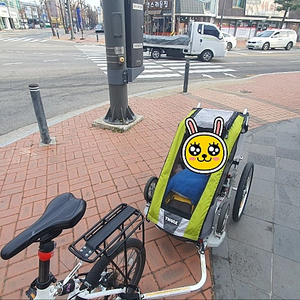 툴레 체리엇 쿠거 자전거 트레일러 팝니다