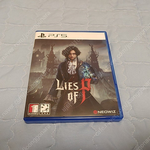 ps5 P의 거짓