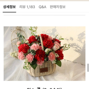 카네이션 생화(꽃바구니) 부산 북구 화명동 45%세일(미개봉 새상품)