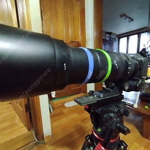 eos r7(rf-ef아답터 ,세로그립포함)과 시그마150-500dg os hsm(파우치,필터)포함