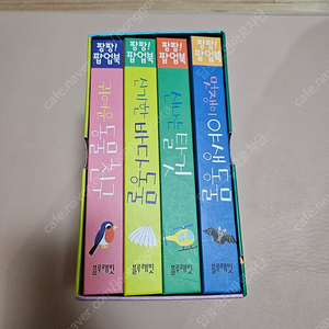블루래빗 팝업북 세트