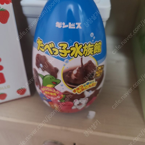 (구하기 힘든 매물)(가격고정)B급 타베코도부츠 고전 소품 보관함 에그 틴케이스 고전 보관함