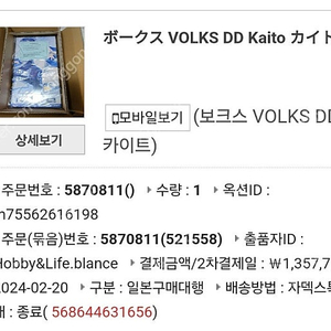 보크스 카이토 DD 돌피드림