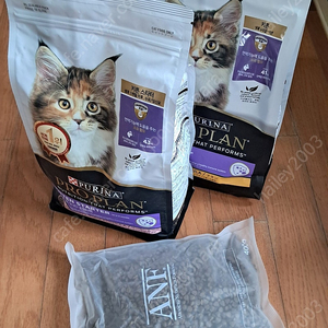 퓨리나 프로플랜 키튼 사료 1.5kg 새것 (키튼 스타터 1봉, 키튼 1봉) + ANF 6프리 골드 캣 키튼 400g 미개봉