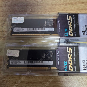 TeamGroup DDR5-5600 CL46 Elite 서린 8gb 2개 팝니다.