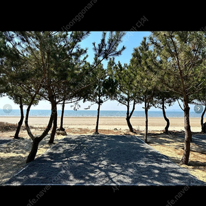 태안 달산포진주캠핑장 양도(5.9~11)