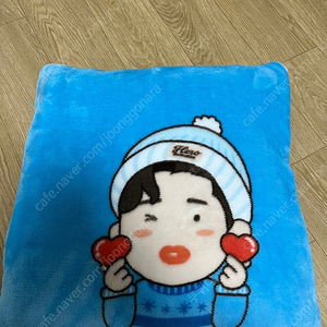 임영웅 담요방석