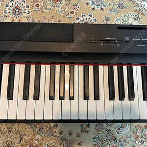 Yamaha P-125 전자피아노