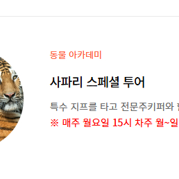 에버랜드 사파리 스페셜 투어