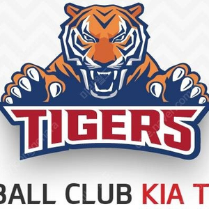 5월 11일 일요일 기아타이거즈 vs SSG랜더스 3루 내야필드석 2연석 양도