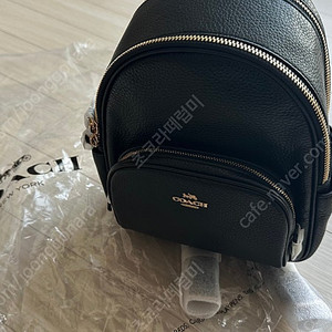 코치 미니백팩 품절상품 새상품