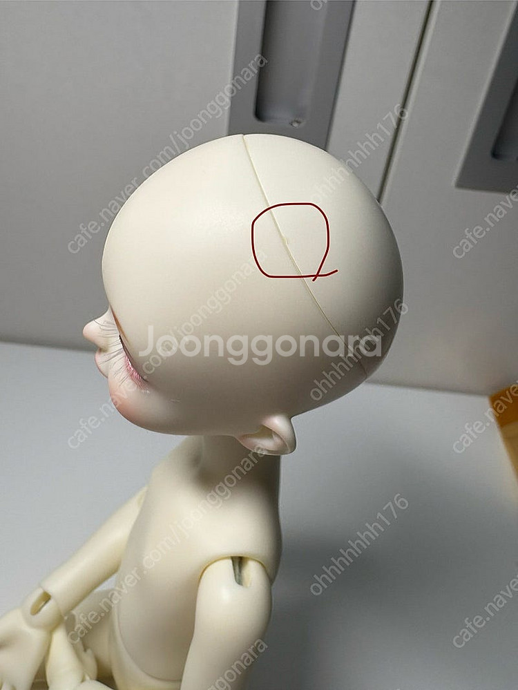 구체관절인형 구관 젬돌 usd 사티나--3