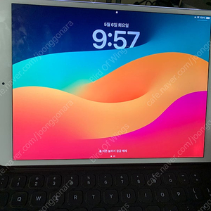 아이패드프로 2세대 10.5인치 512 셀룰러 판매합니다