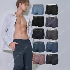 퓨마 남성 드로즈 팬티 100사이즈