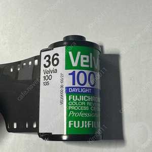 벨비아 100 135 36컷