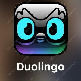 듀오링고 1년 슈퍼패밀리