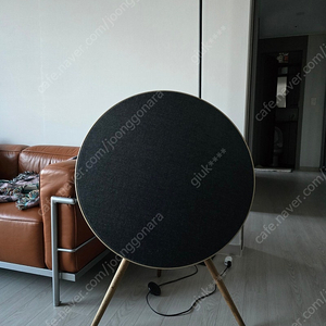 뱅앤올룹슨 베오플레이 A9 스피커 b&o a9 스피커 팝니다.