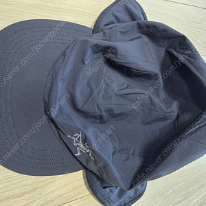 아크테릭스 프로톤 햇 L-Xl 판매