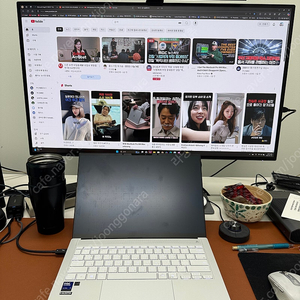 벤큐 전문가모니터 pd3225u