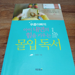 (중고책) 아이 내면의 힘을 키우는 몰입독서 -최희수