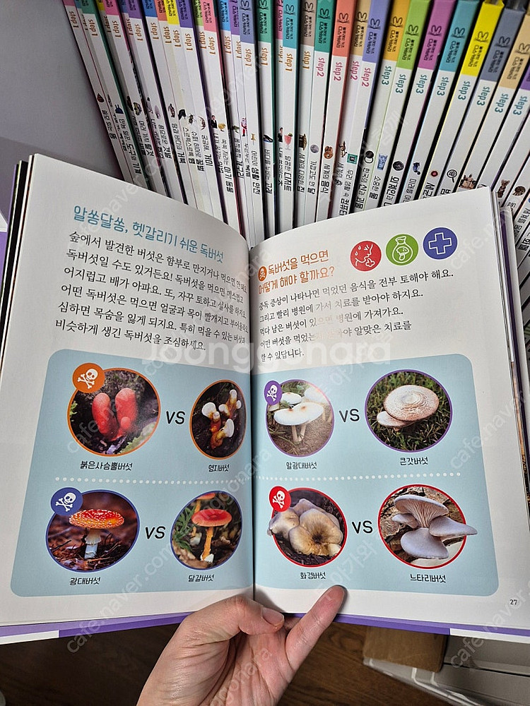 블루래빗 키즈 디스커버리 택포17--1