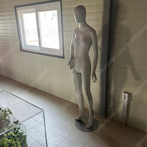 (중고) 여성마네킹 (상대양호)