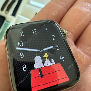 애플워치6셀룰러 44mm 스텐골드