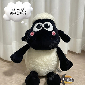 웰네스와 그로밋 숀더쉽 양 중형 인형
