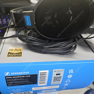 젠하이저 hd600