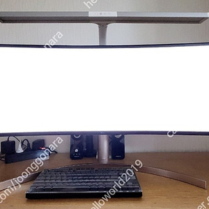LG 49인치 울트라 와이드 모니터 (49WL95C)