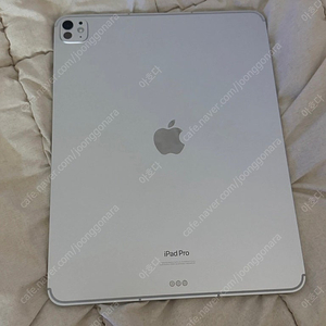아이패드 프로 m4 13인치 셀룰러 256GB 실버