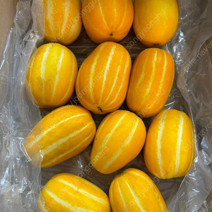 성주 꿀 참외 5kg 20,600원 !! 신선하고 아삭합니다 선물용으로도 최고!