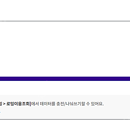 싱가포르 로밍