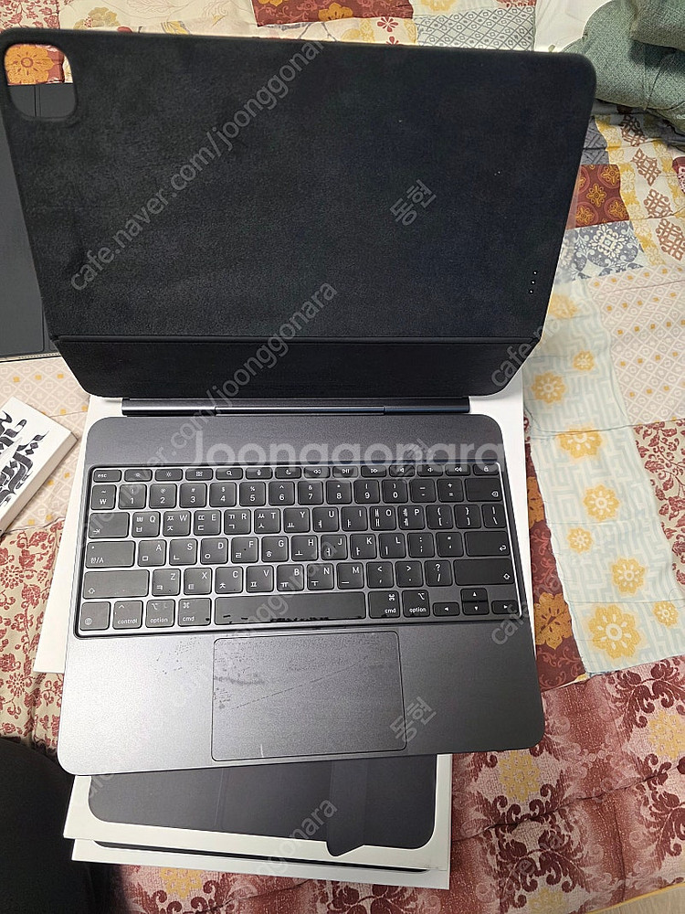 아이패드프로M4 13 인치 256GB 셀룰러 실버 (애...--2
