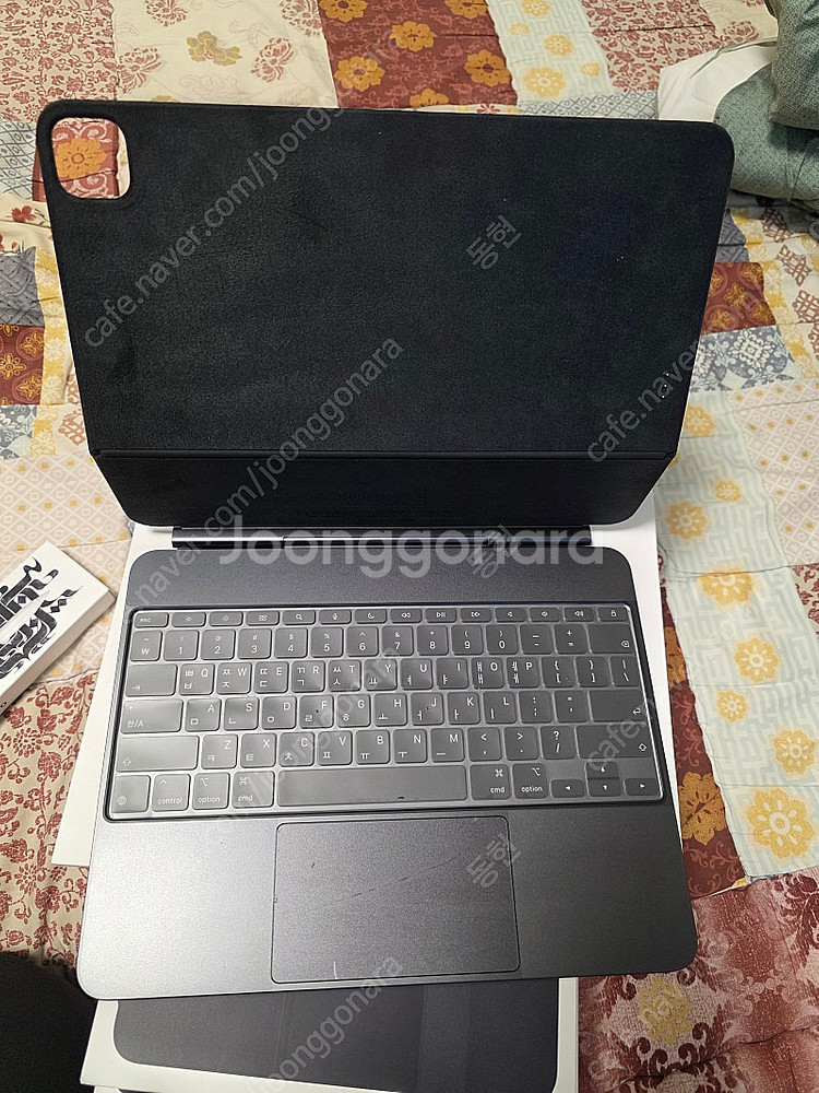 아이패드프로M4 13 인치 256GB 셀룰러 실버 (애...--3
