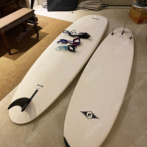 Bic surf 초보자용 서핑보드 2종