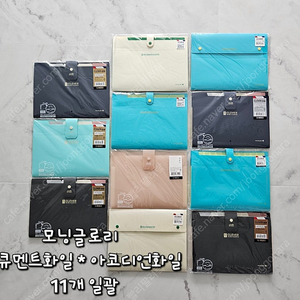 모닝글로리 클레버 도큐멘트화일, 아코디언화일 11개