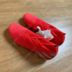 축구화 아디다스 네메시스 19+ fg 260