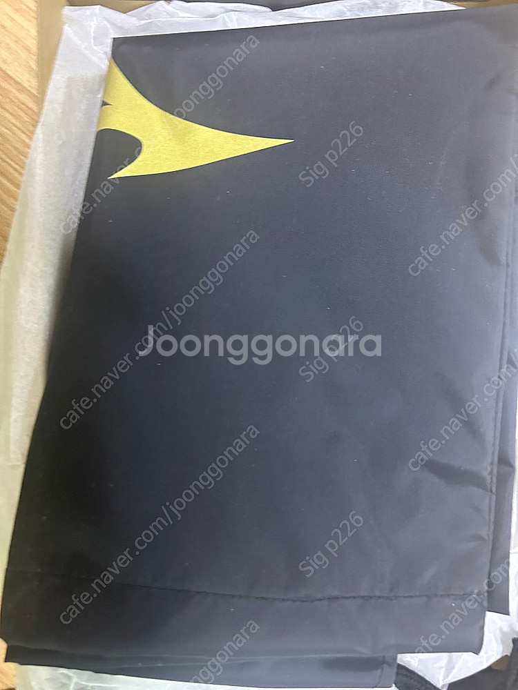 미즈노 복싱화 280mm--1